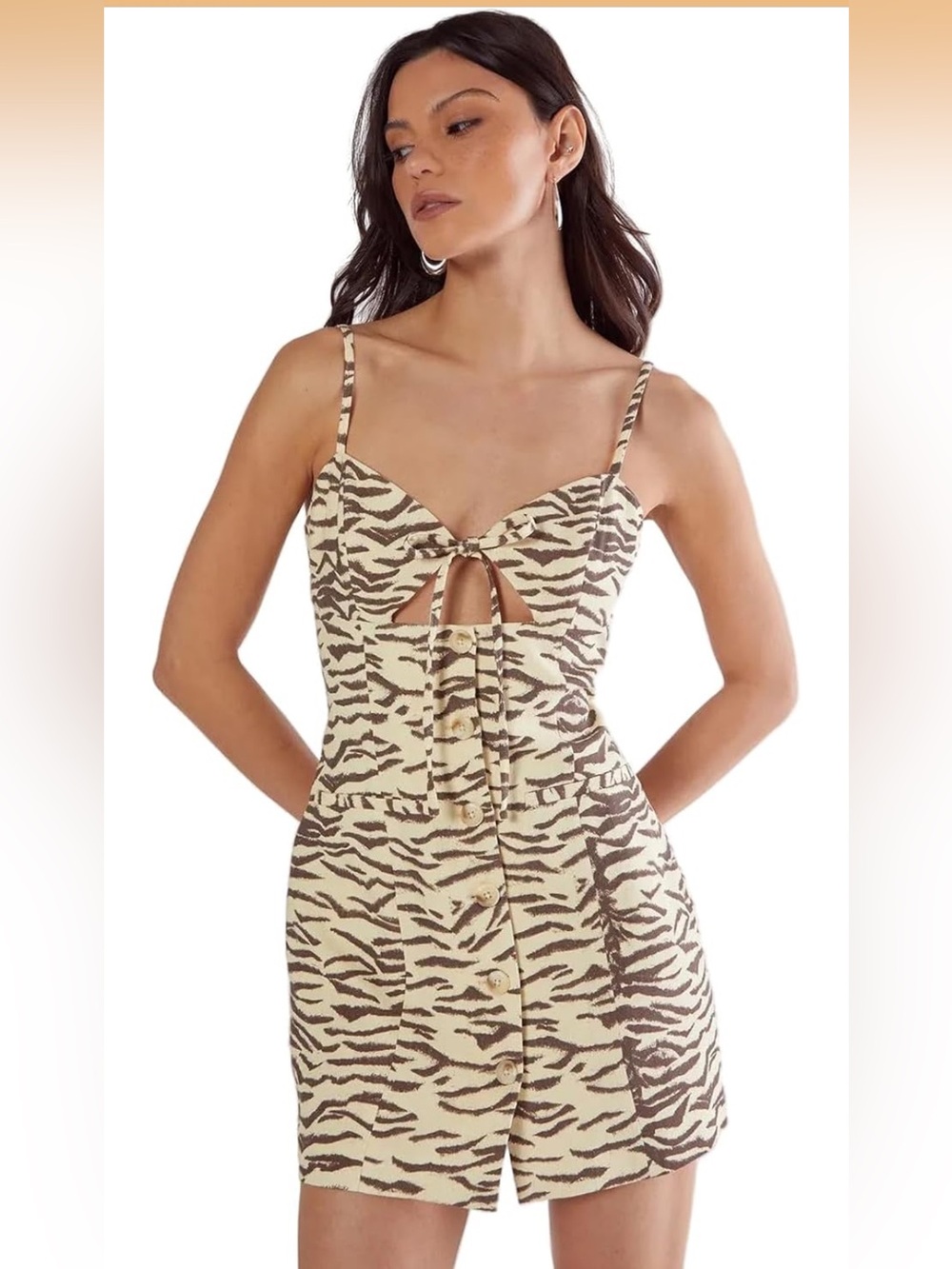 Nasty Gal Cream & Brown Zebra Stripe Tie-Front Mini Dress